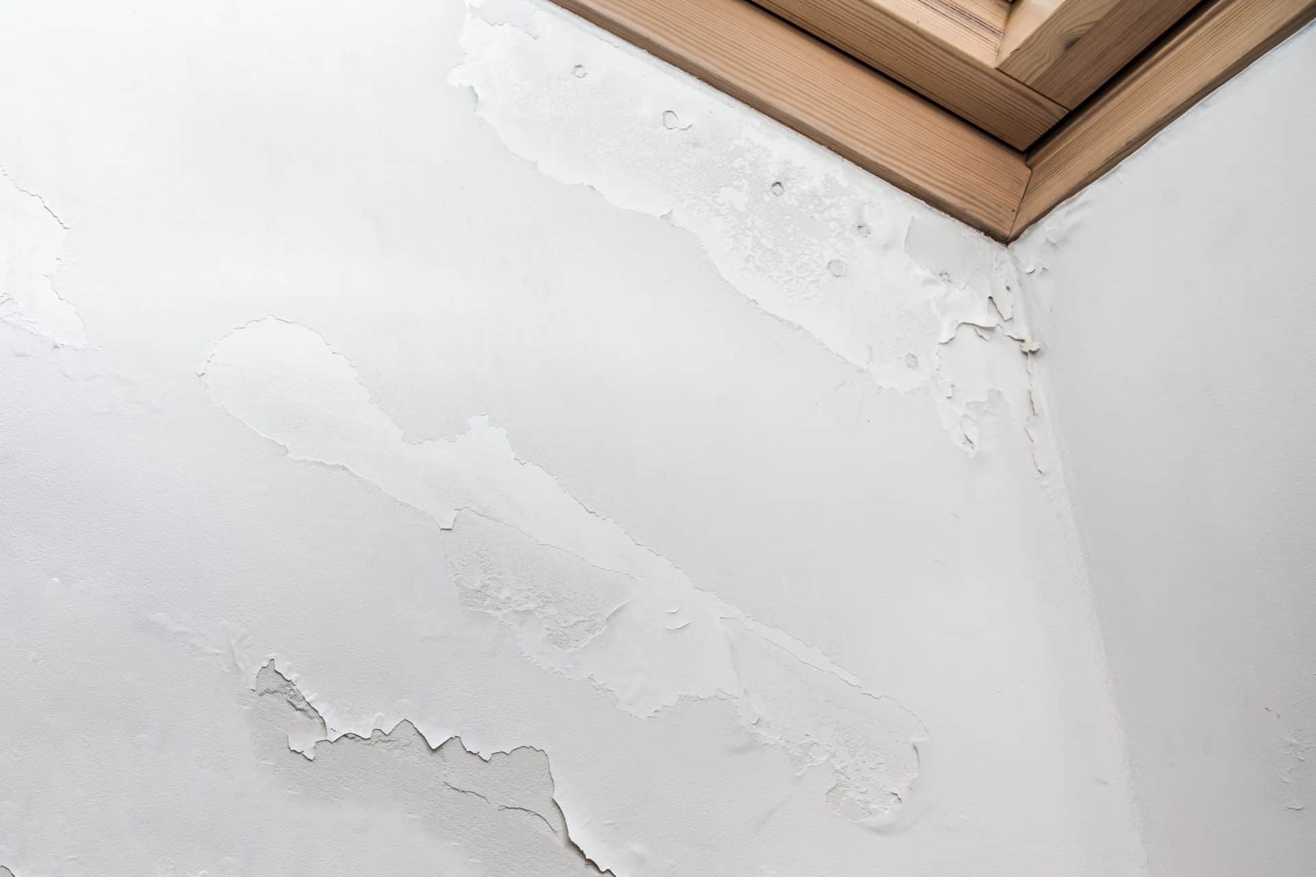 ปัญหาสีลอกล่อน การยึดเกาะต่ำ (Low Paint Adhesion)