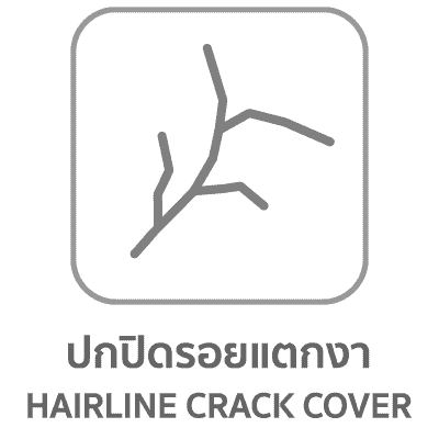 ปกปิดรอยแตกงา